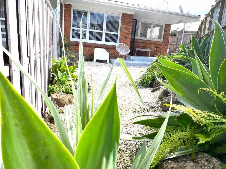 Own sunny quiet haven, own 1 bedroom house & garden with car park, central to Airport, CBD & Sylvia Park Mall