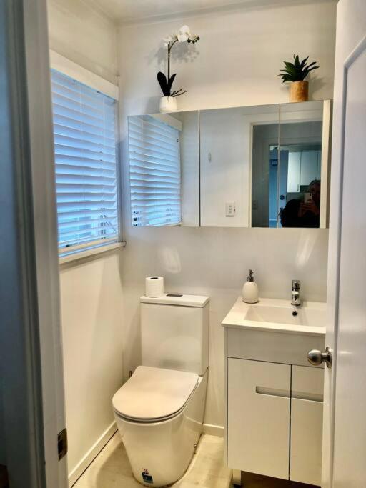 Own sunny quiet haven, own 1 bedroom house & garden with car park, central to Airport, CBD & Sylvia Park Mall