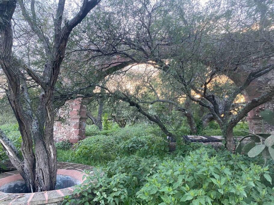 Country Retreat on 14 acres view 5