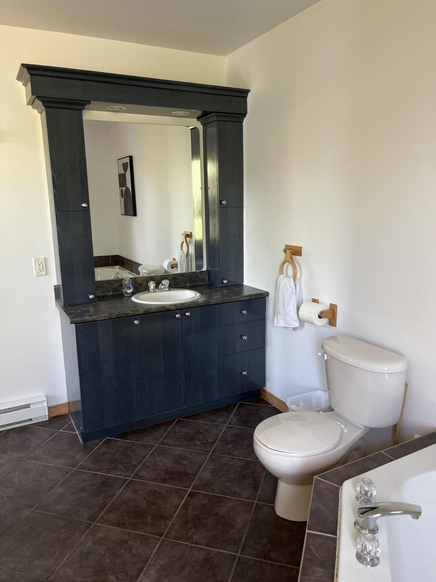 Chalet spa rivière saint Maurice