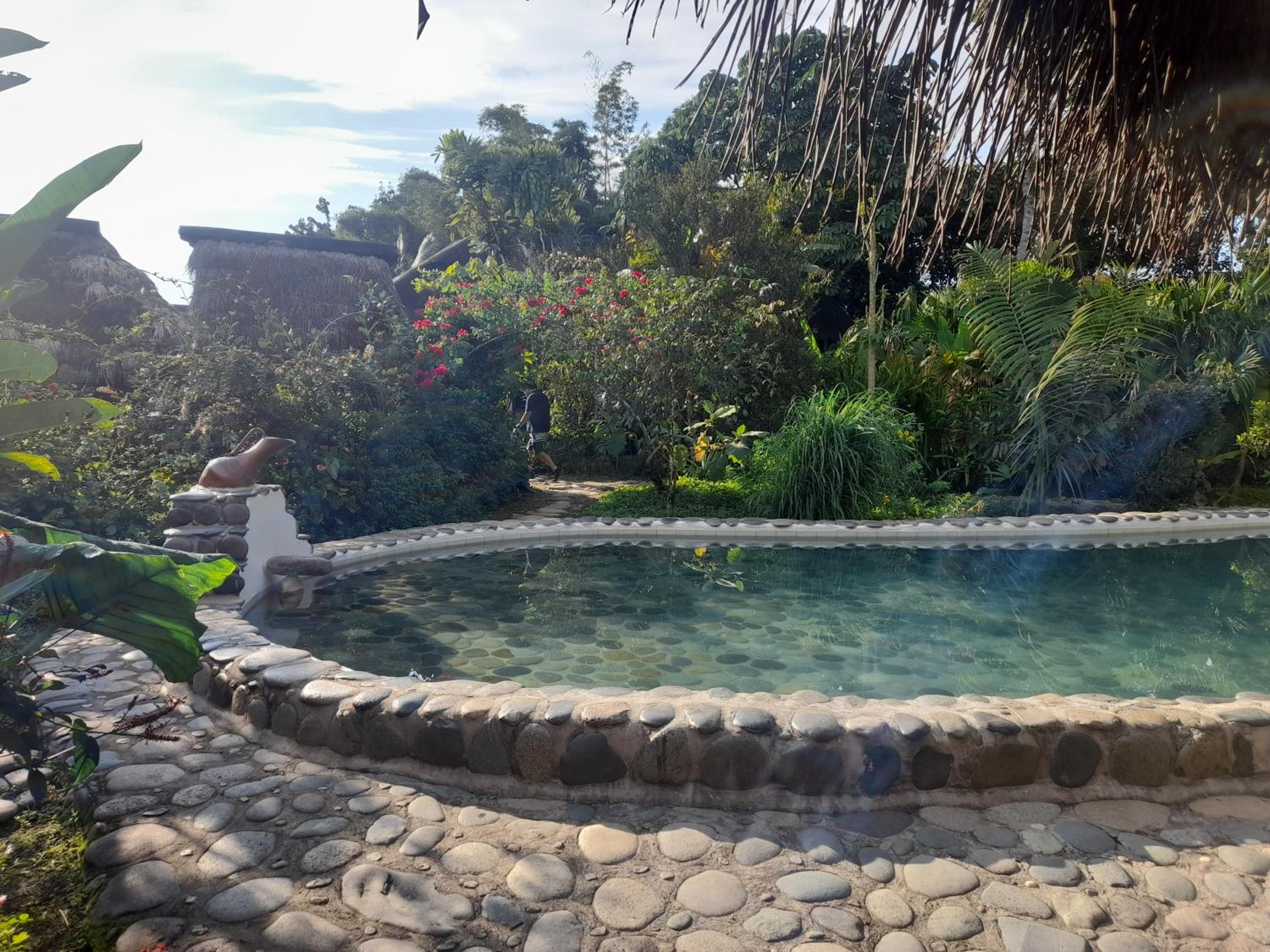 Lodge France Amazonia