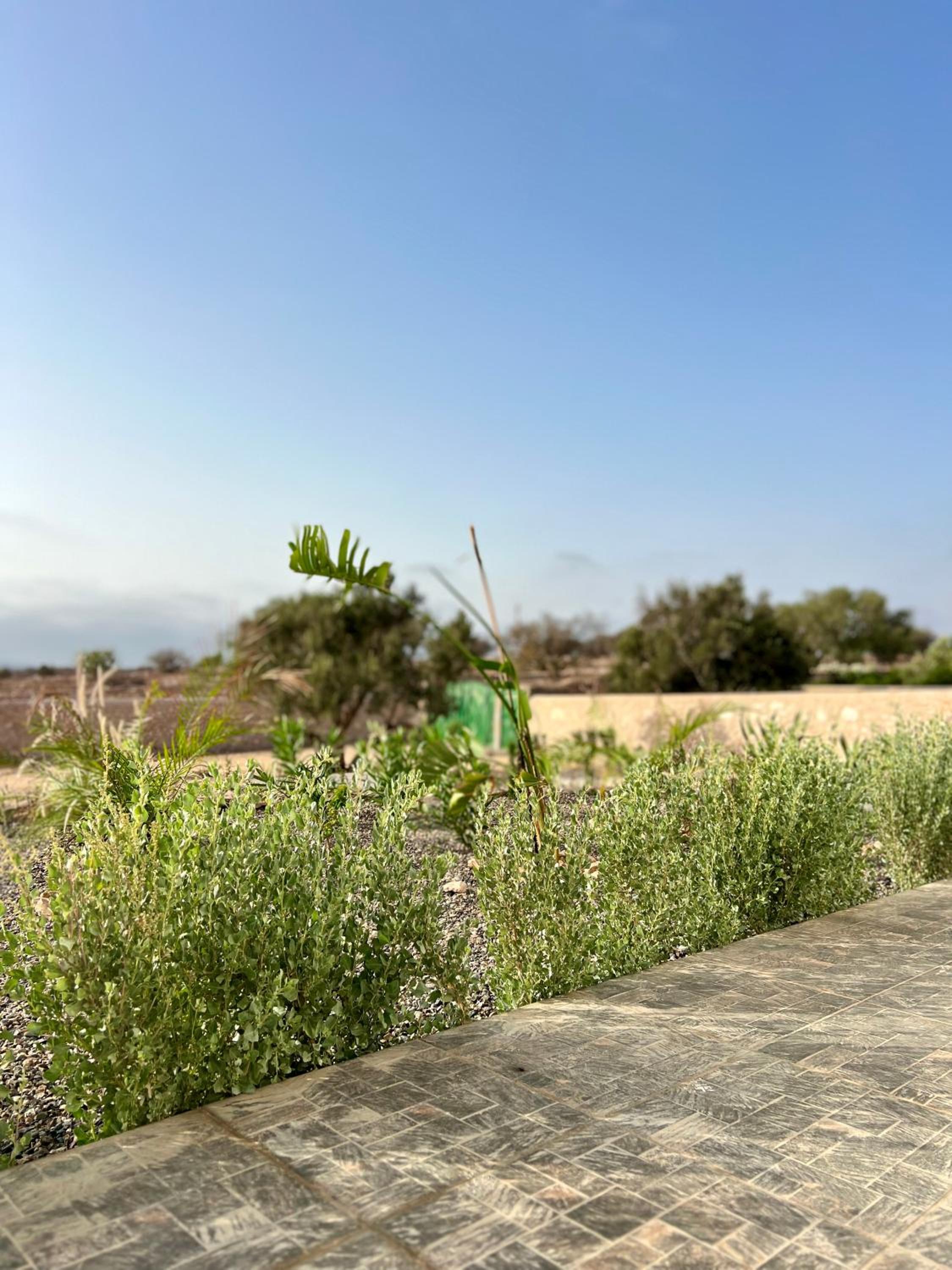 Villa Karama Essaouira Getaway