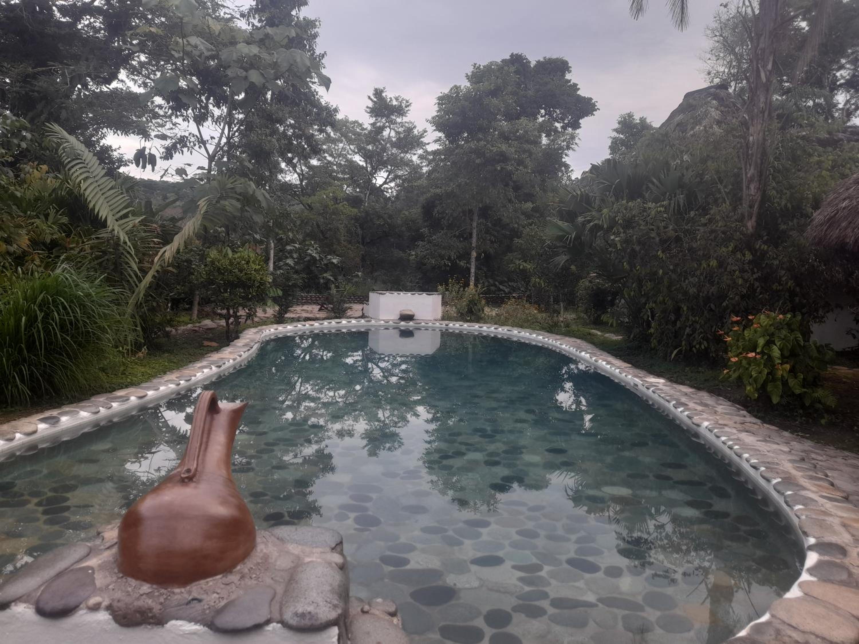 Lodge France Amazonia
