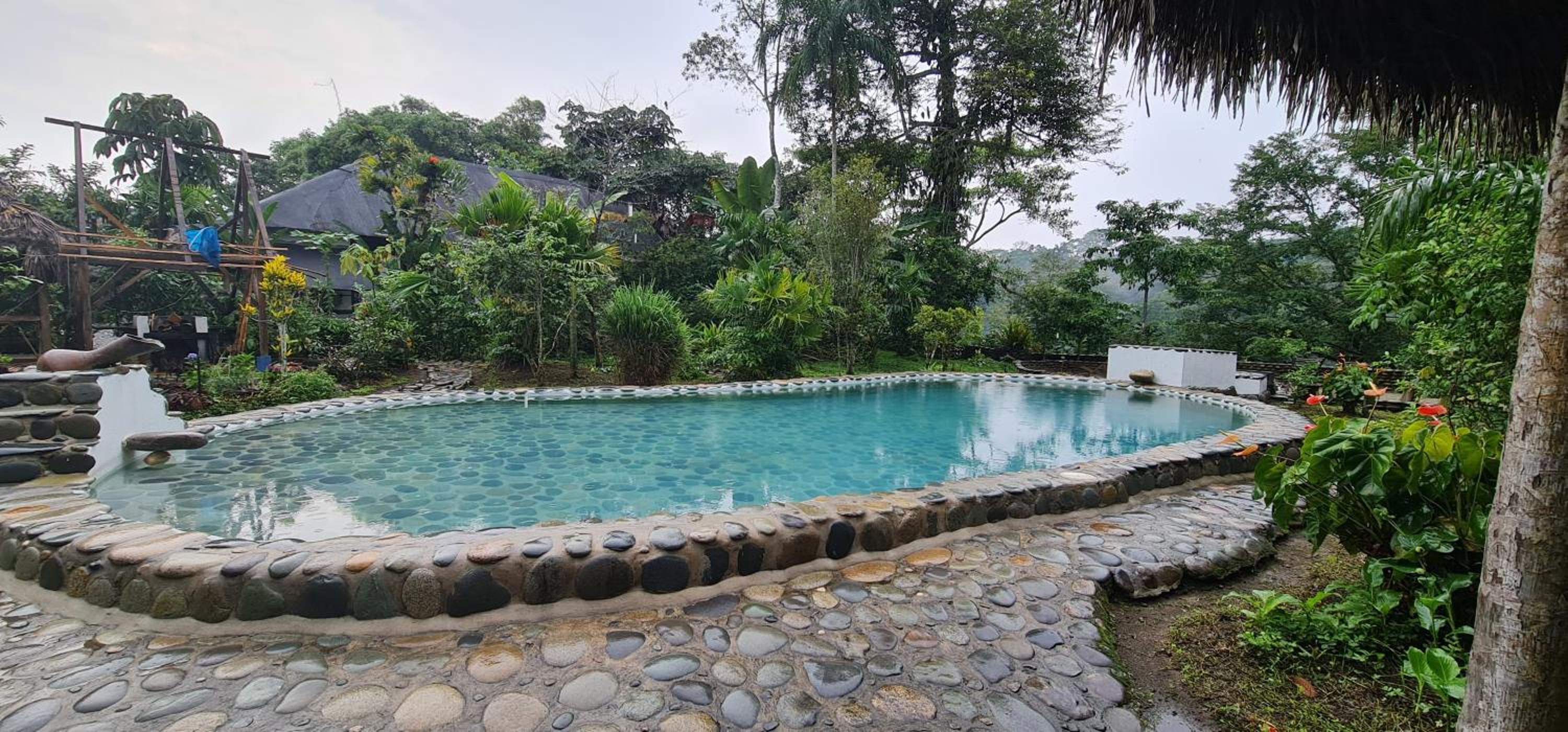 Lodge France Amazonia