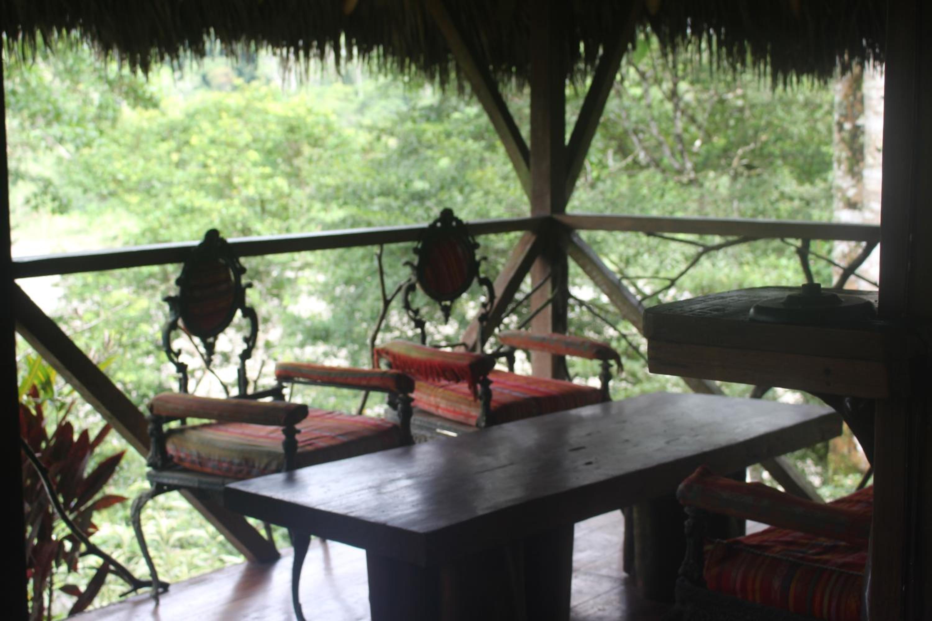 Lodge France Amazonia