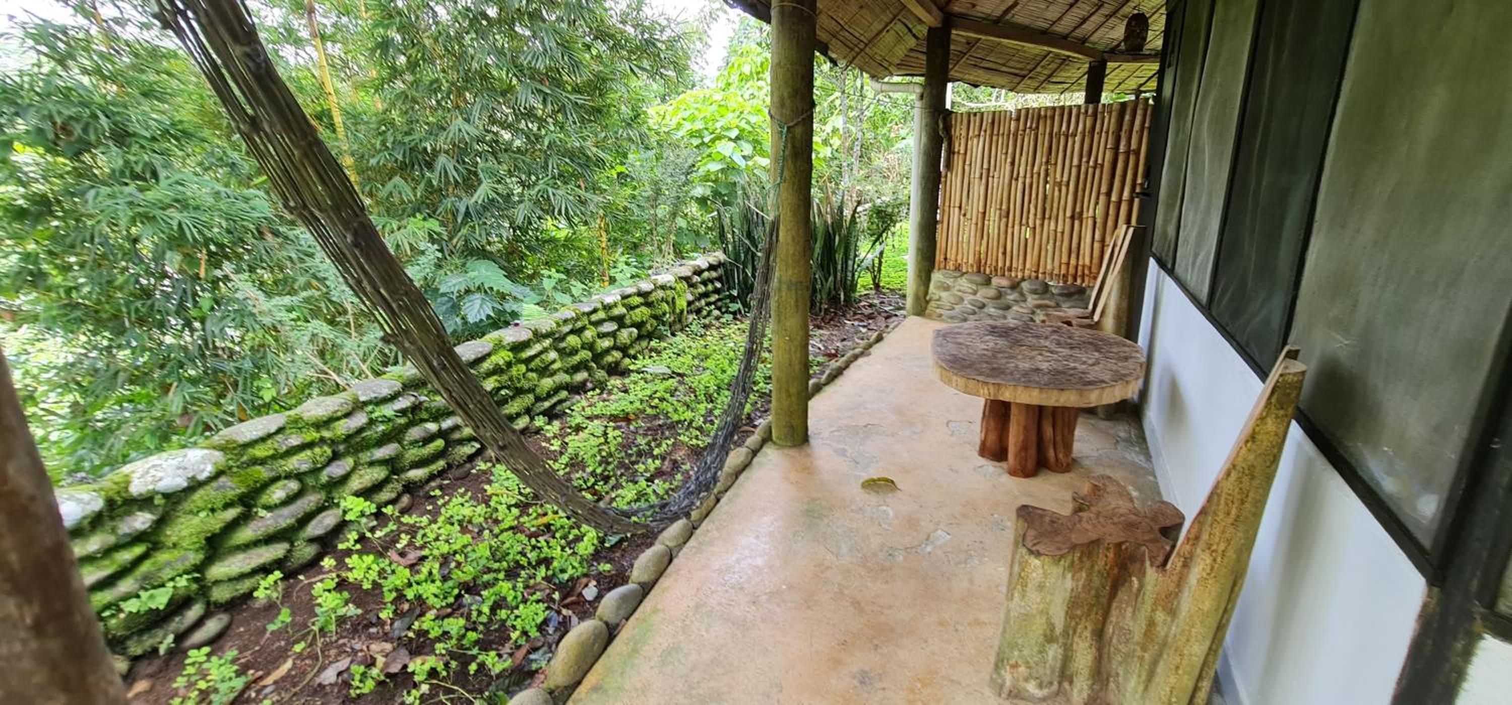 Lodge France Amazonia