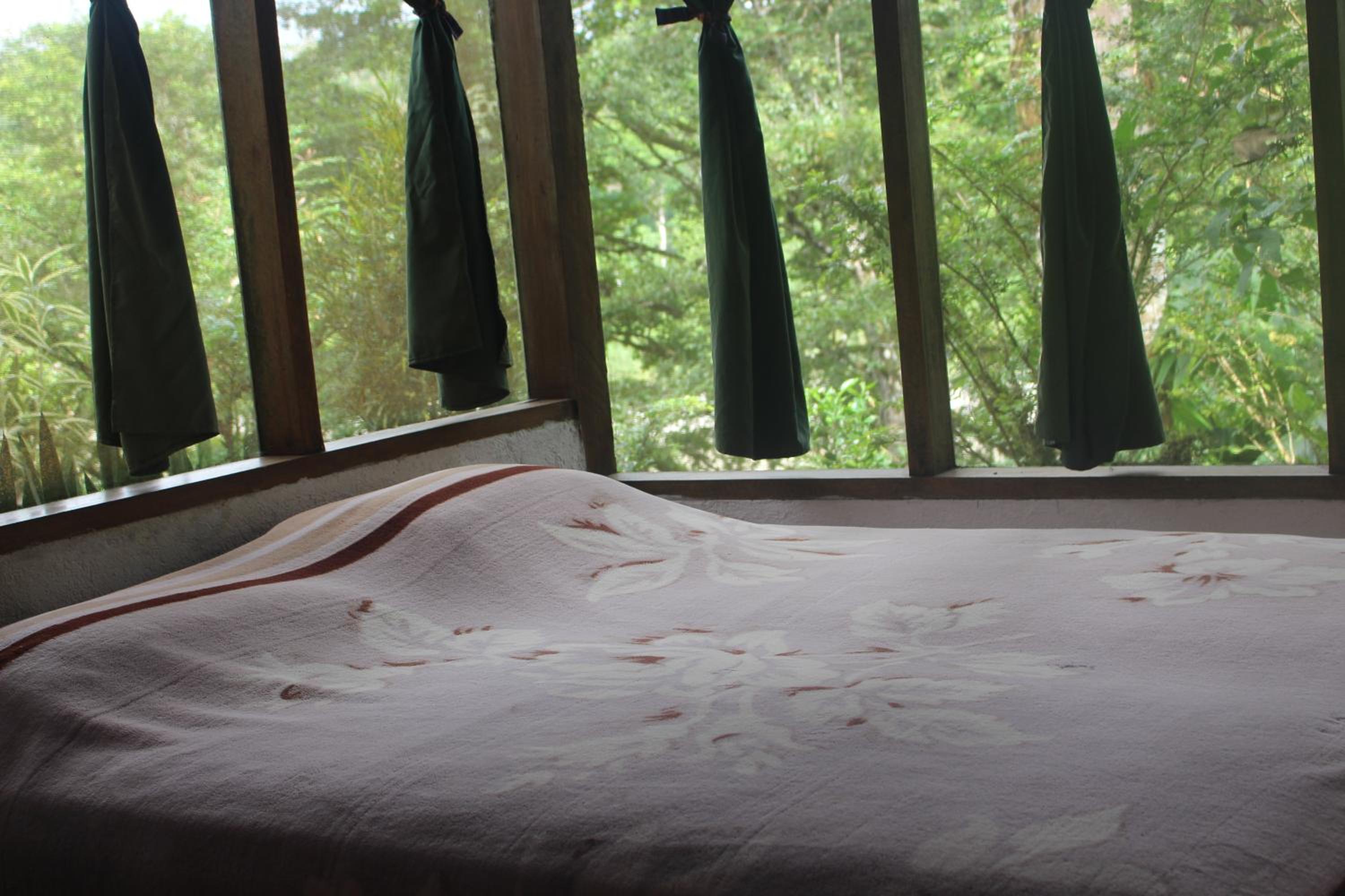 Lodge France Amazonia
