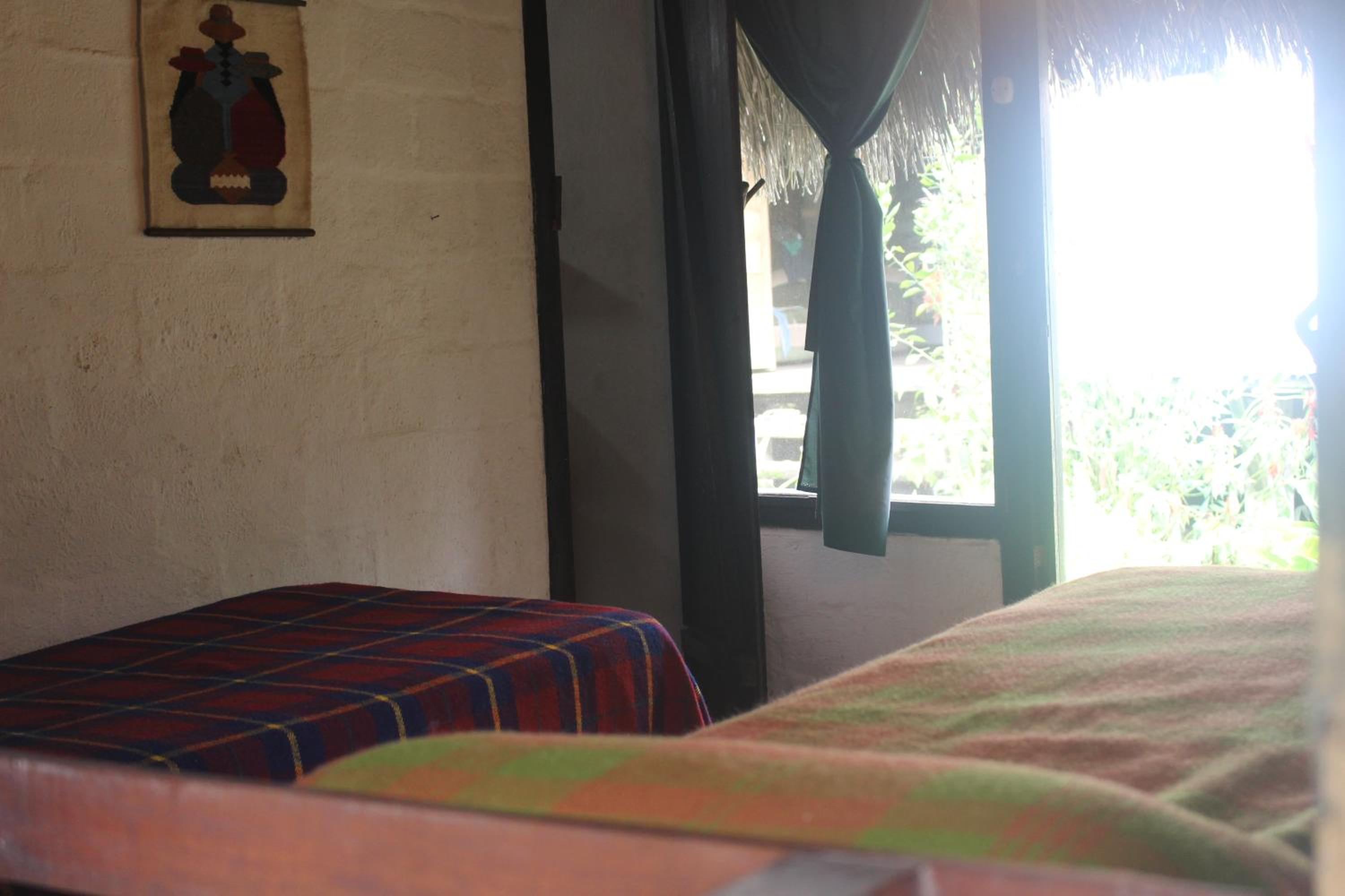Lodge France Amazonia
