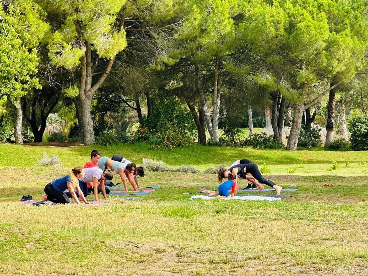 Surf Camp Ecológico