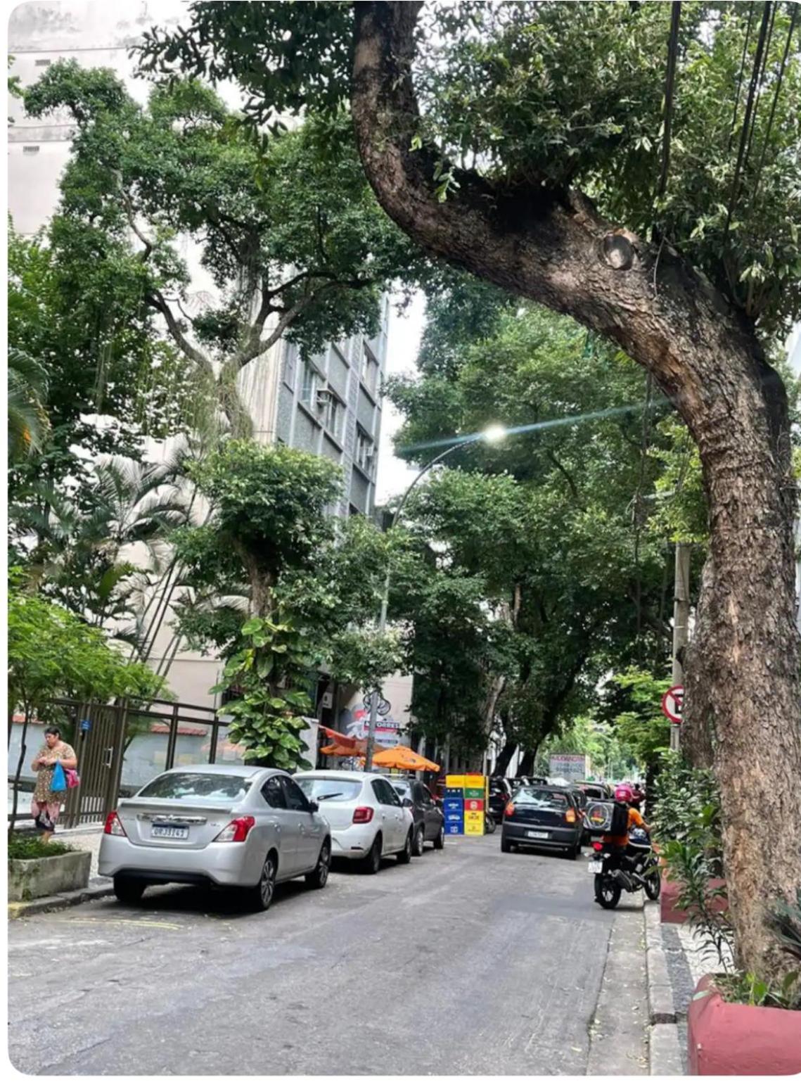 Apartamento encantador no coração do Rio