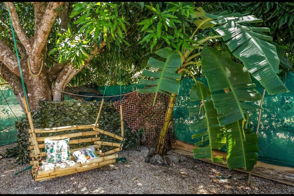 Matambú Main House