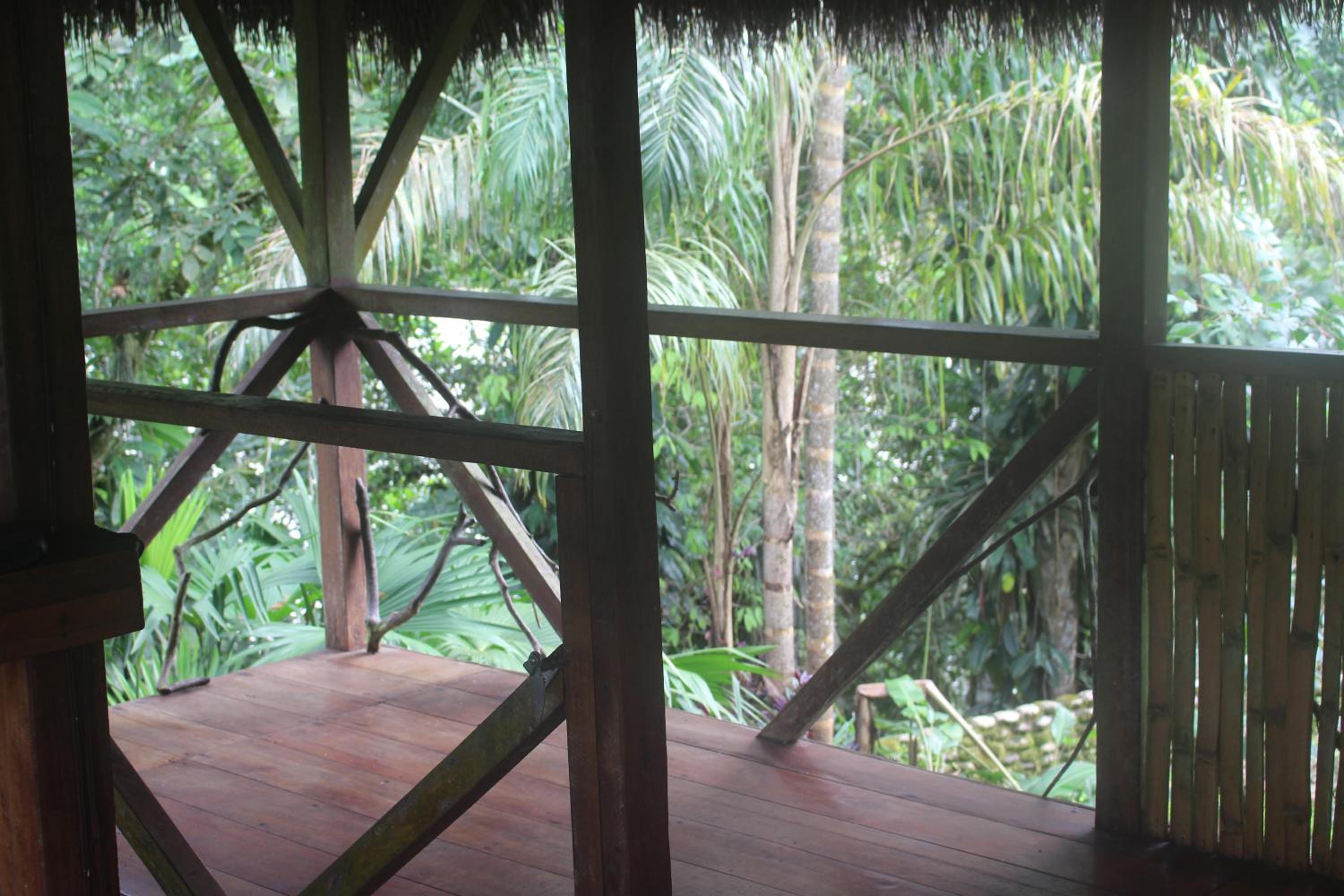 Lodge France Amazonia