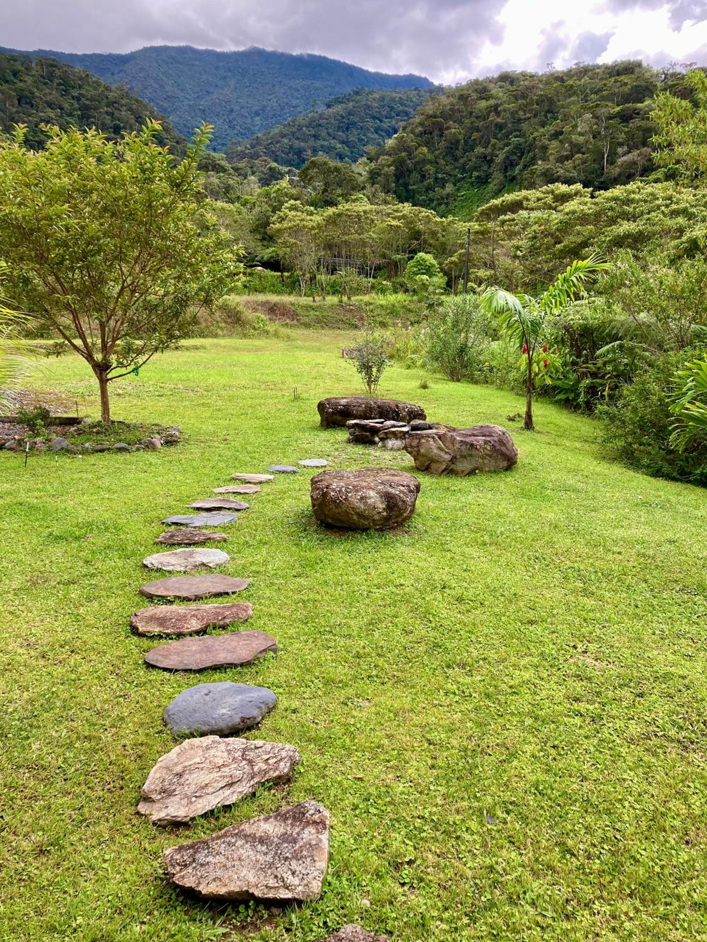 Ama la Vida, Bed and Breakfast view 4