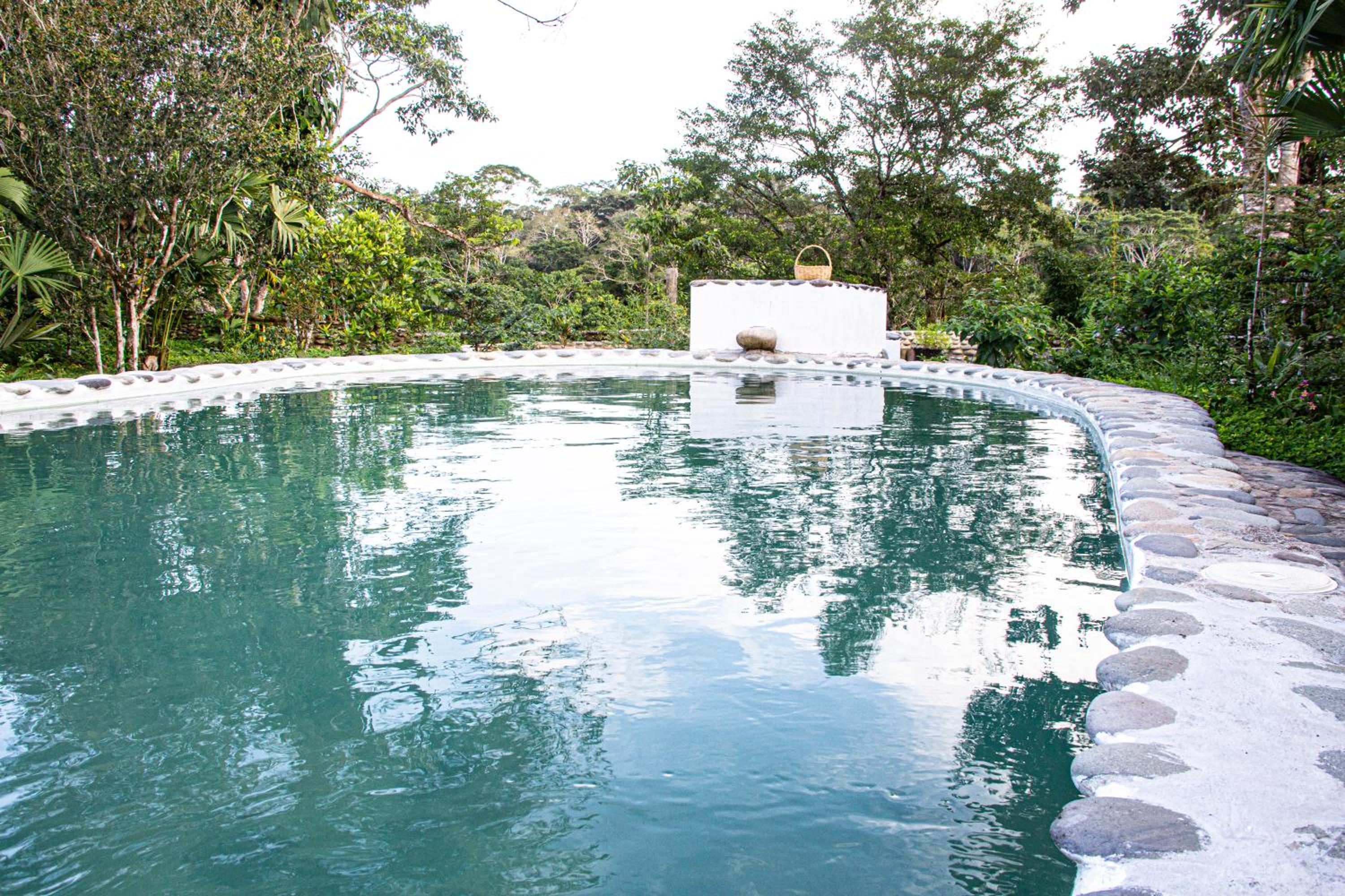 Lodge France Amazonia