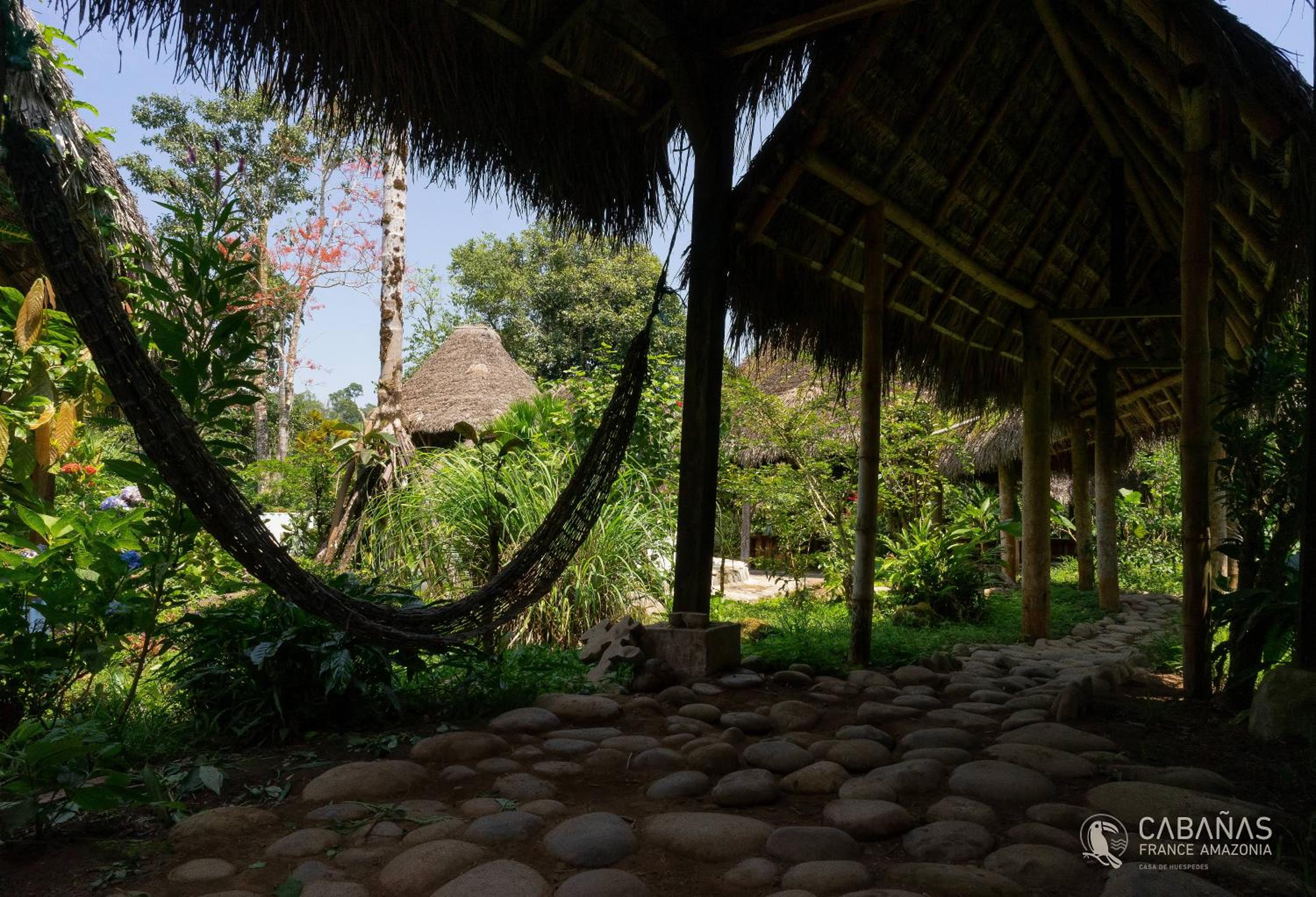 Lodge France Amazonia