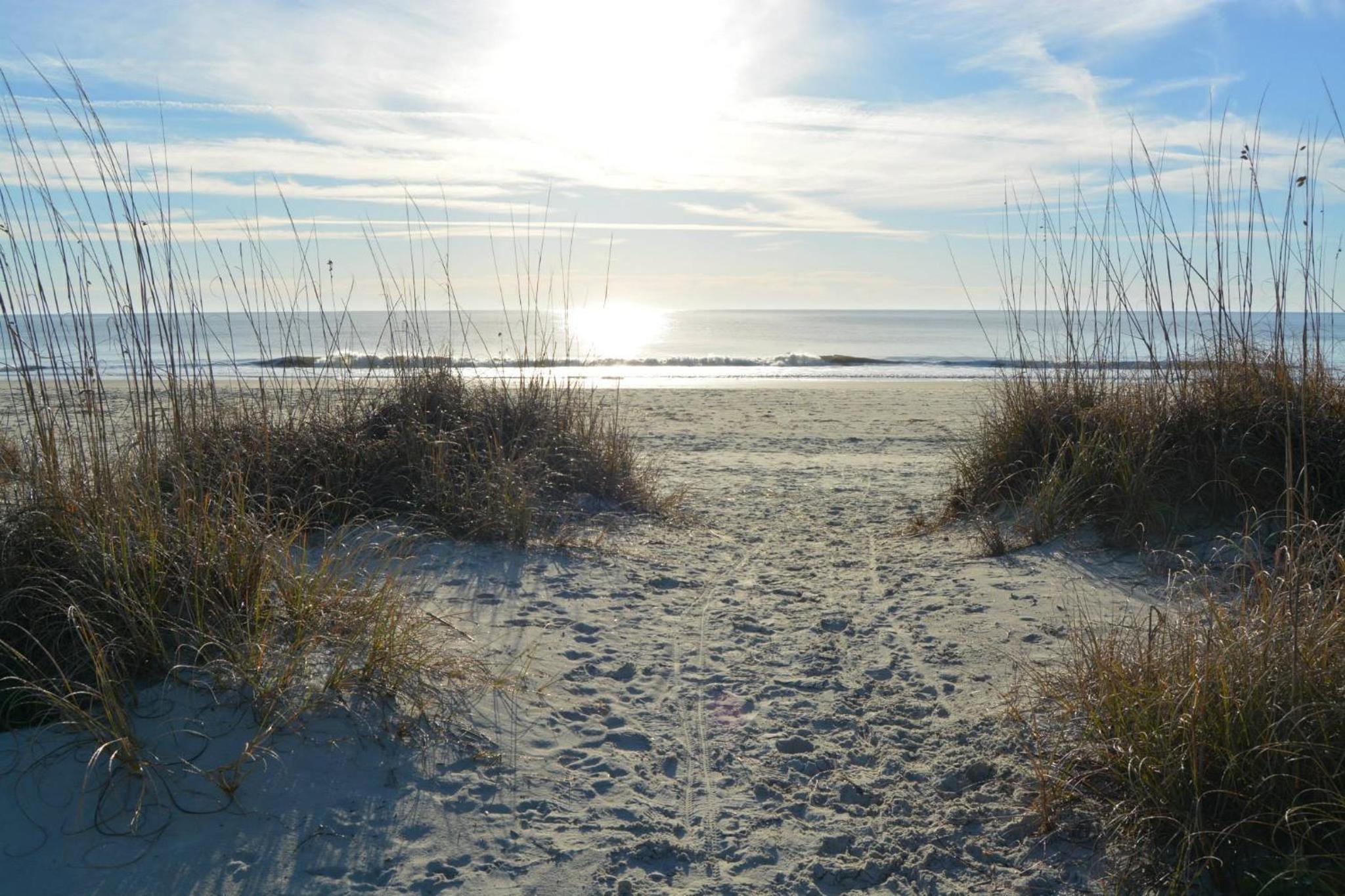 Pet Friendly, Coastal, Beach Getaway