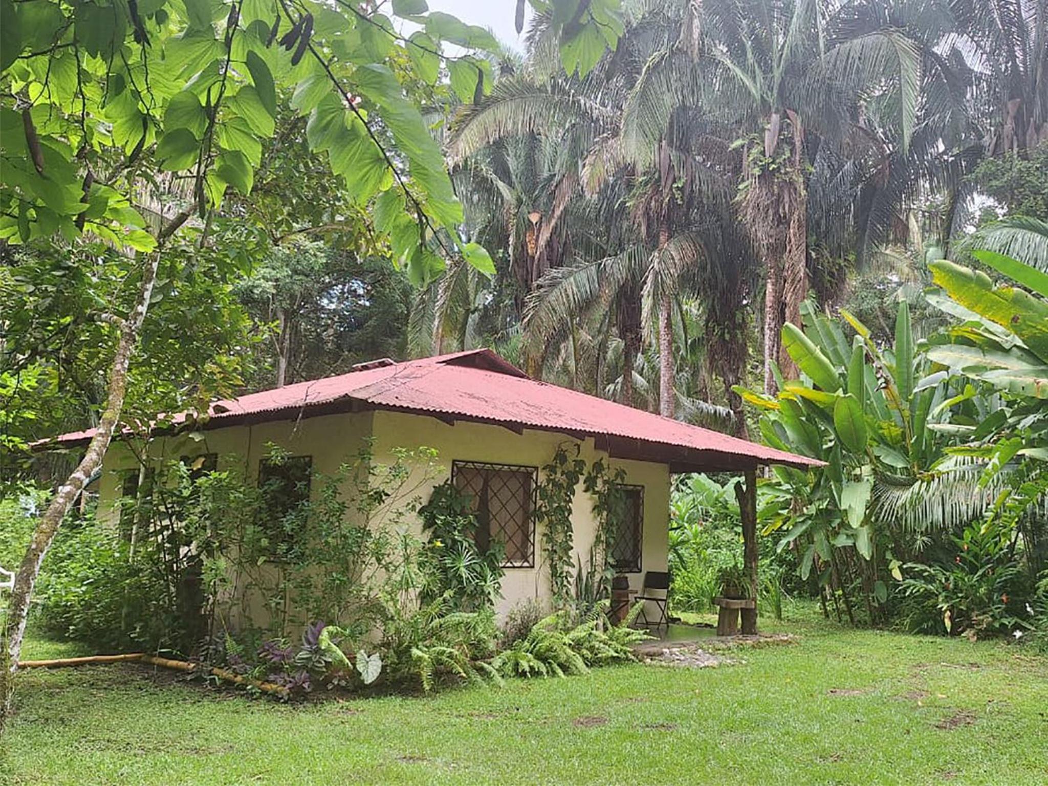 Four Monkeys Eco Lodge Jungle & Beach - The House
