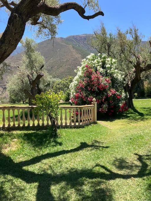 Cortijo Pago y Benisalte- a Stylish villa set within beautiful mountain views