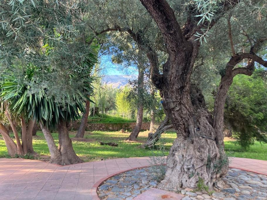 Cortijo Pago y Benisalte- a Stylish villa set within beautiful mountain views