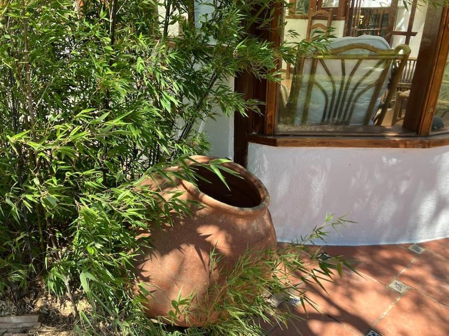 Cortijo Pago y Benisalte- a Stylish villa set within beautiful mountain views