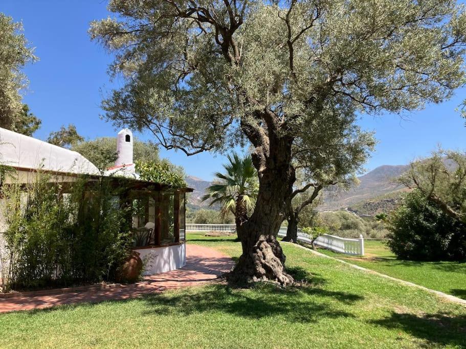 Cortijo Pago y Benisalte- a Stylish villa set within beautiful mountain views