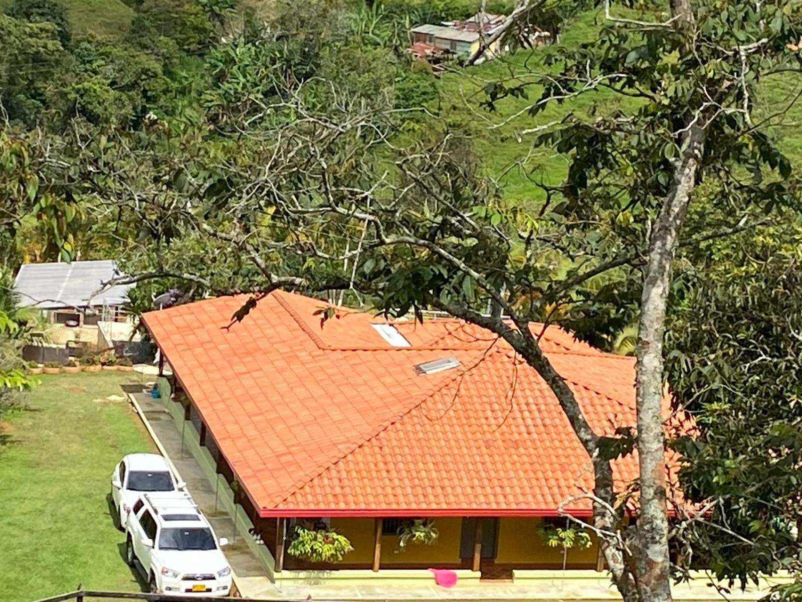 Finca la trinidad