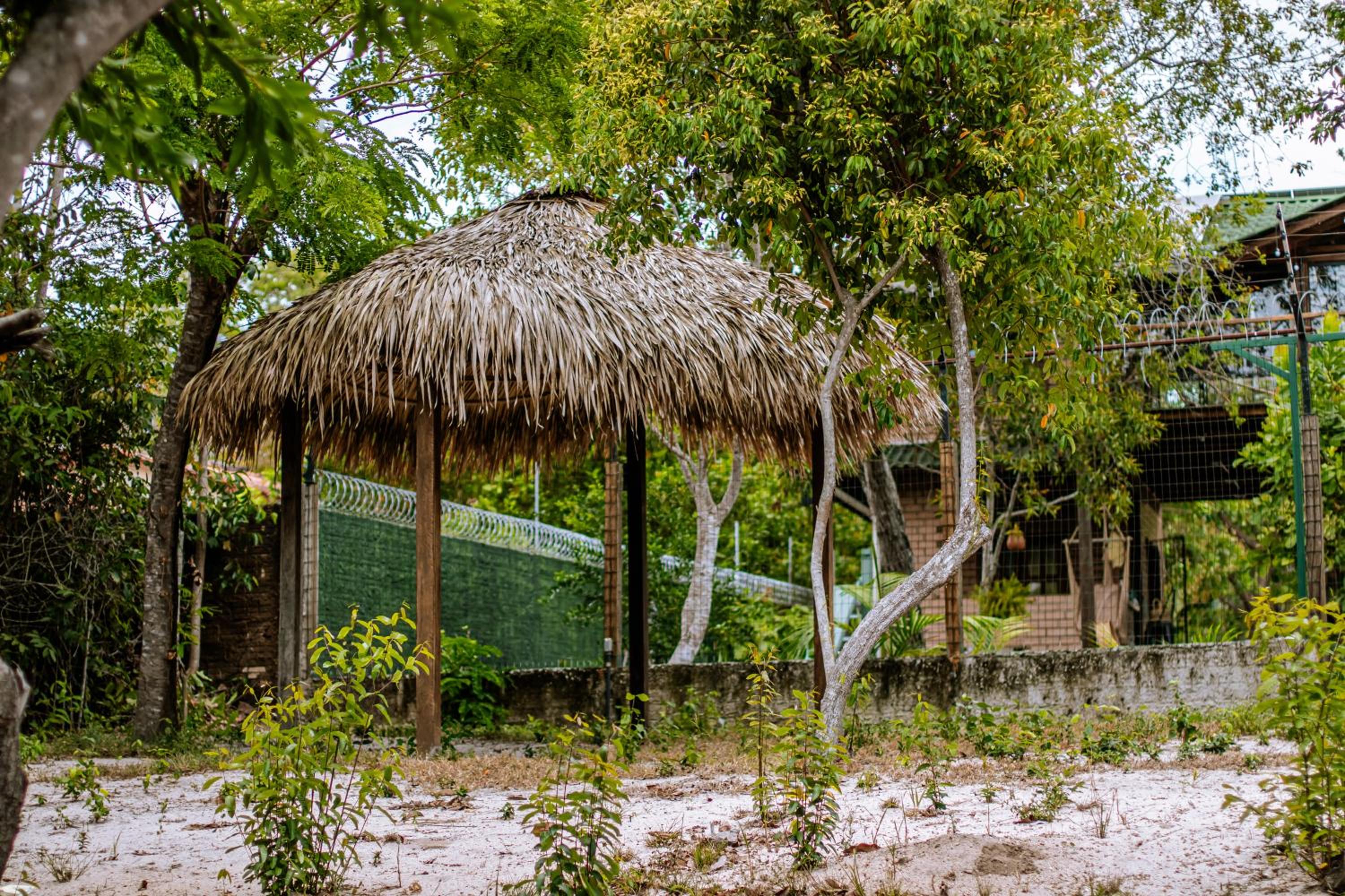 Casa do Lago em Alter do Chão