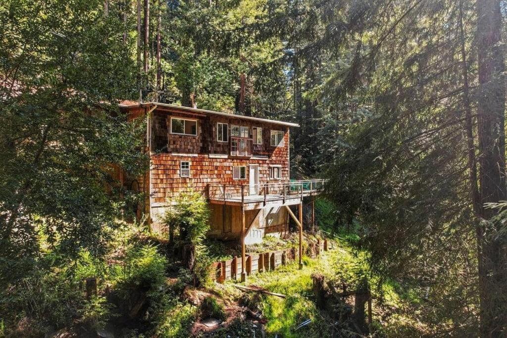 Hotel Evergreen Escape