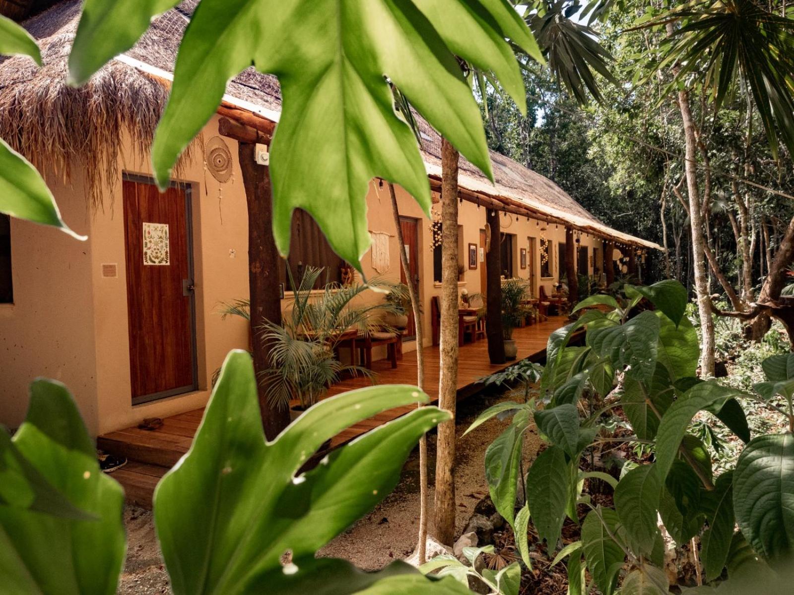 JuNgLe SaNcTuArY FoR LaRgE GrOuPS Casa Arkaana view 2