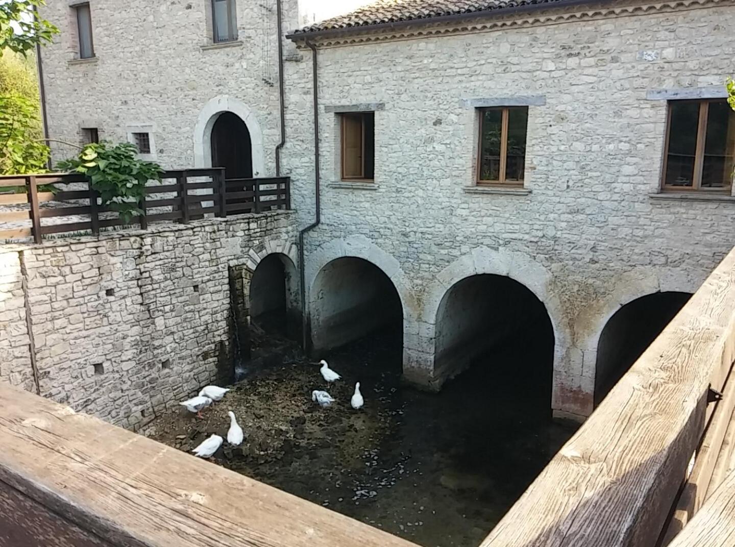 Photo 27