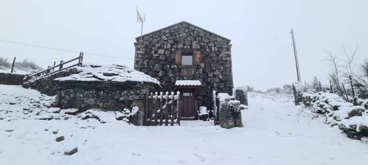 Cardenha da Bessada