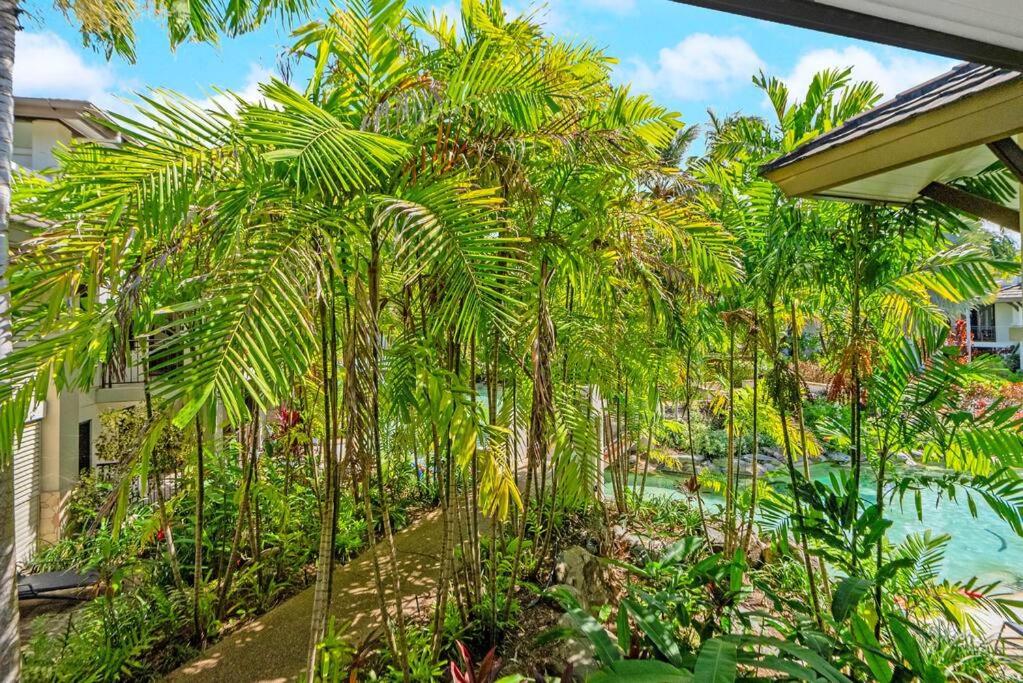 Luxury Port Douglas beachside 3 Bedroom Temple Apartment with Private roof top terrace Due to copyright we can't disclose the resort name but google Port D