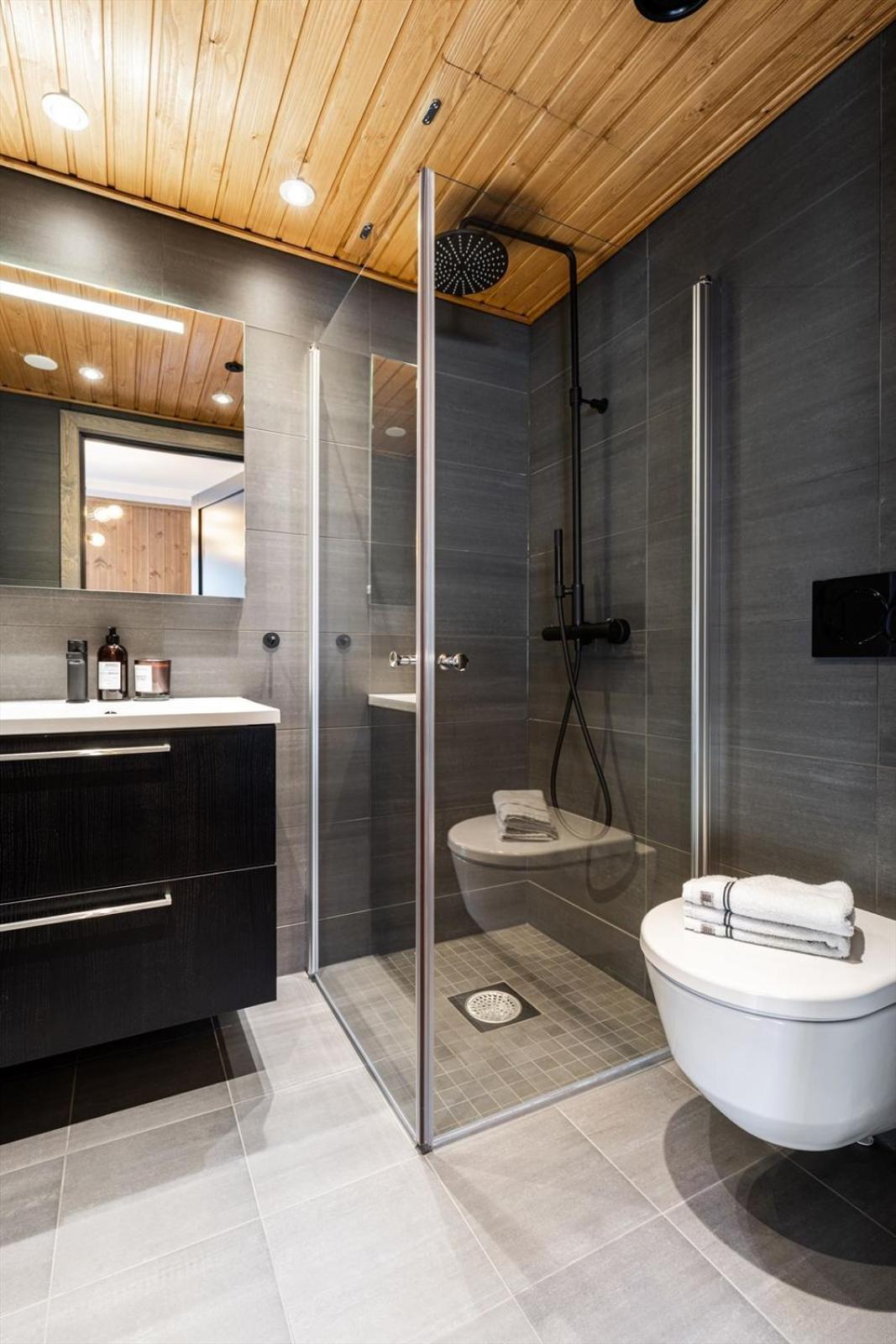 Exclusive Ski In-Out apartment in Hemsedal next to Fyri Resort view 5