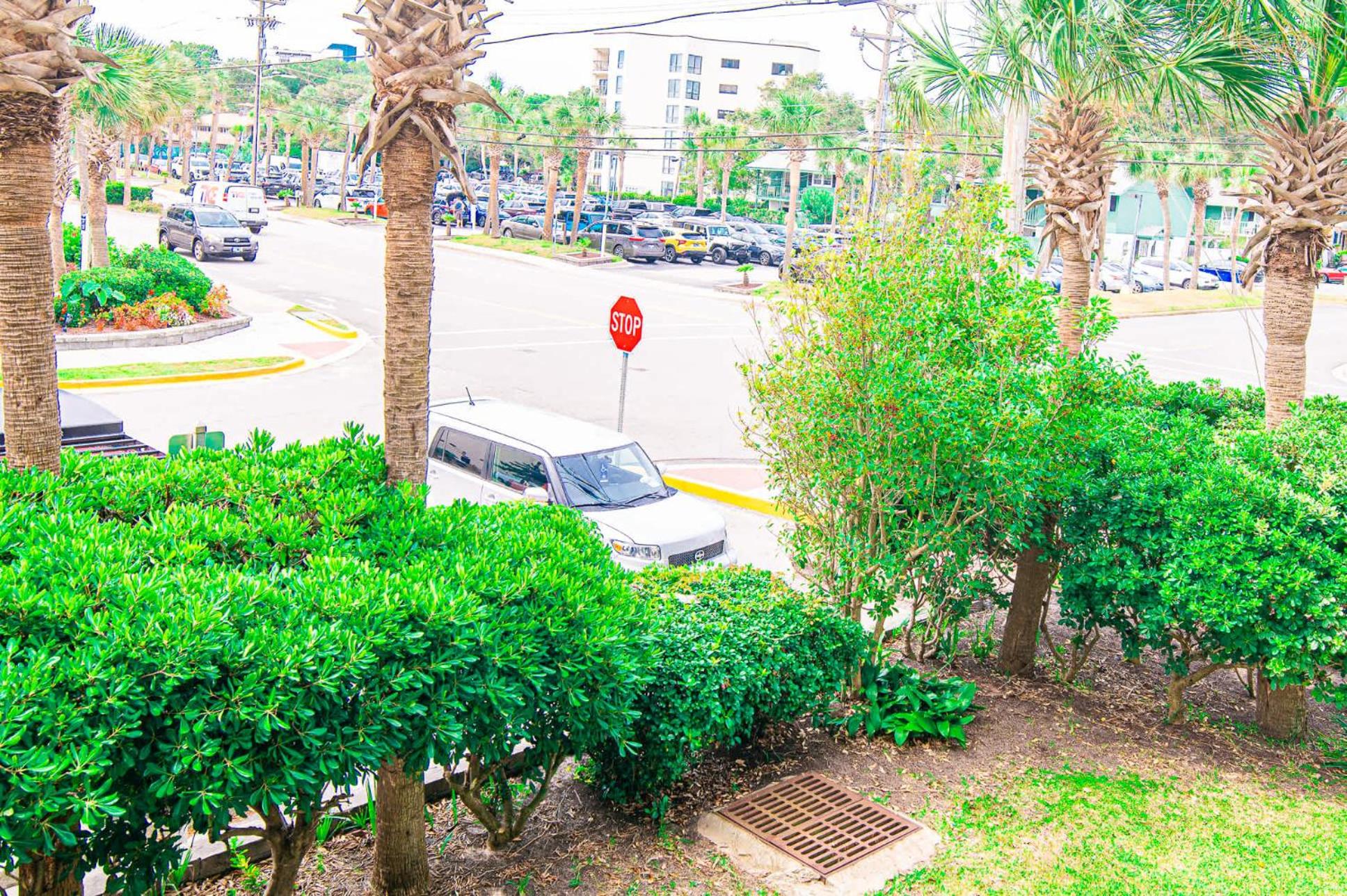 Oceanfront Resort Suite w Lazy River view 3