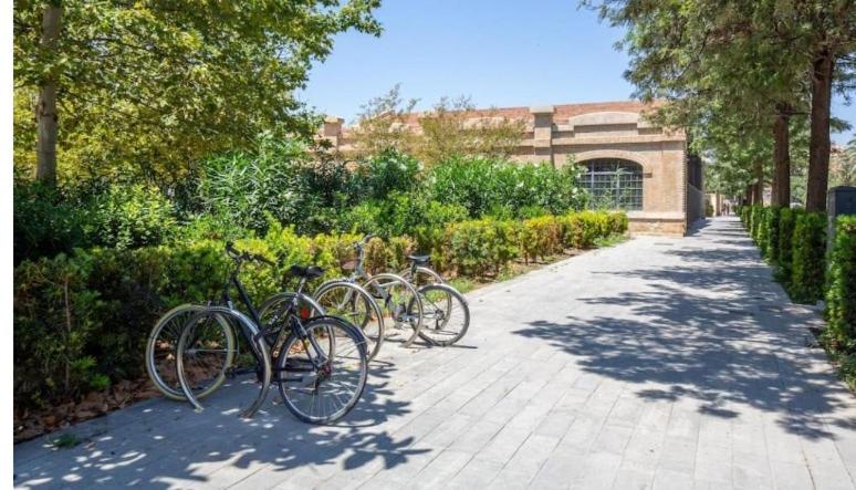 Apartamento nuevo cerca de la playa y céntrico
