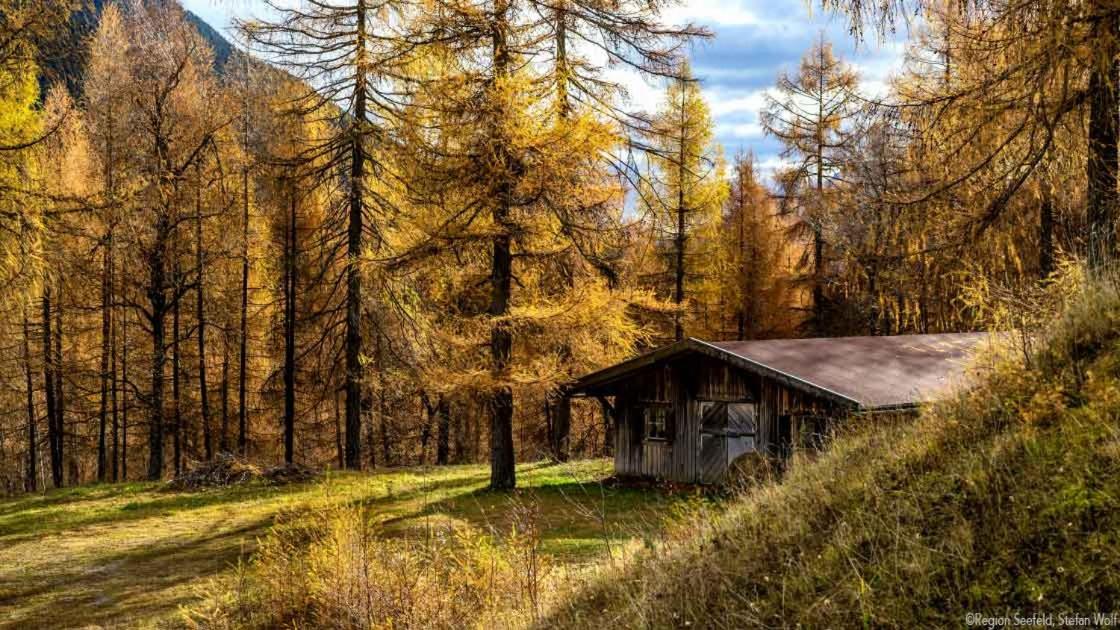 Sissi´s green Chalets