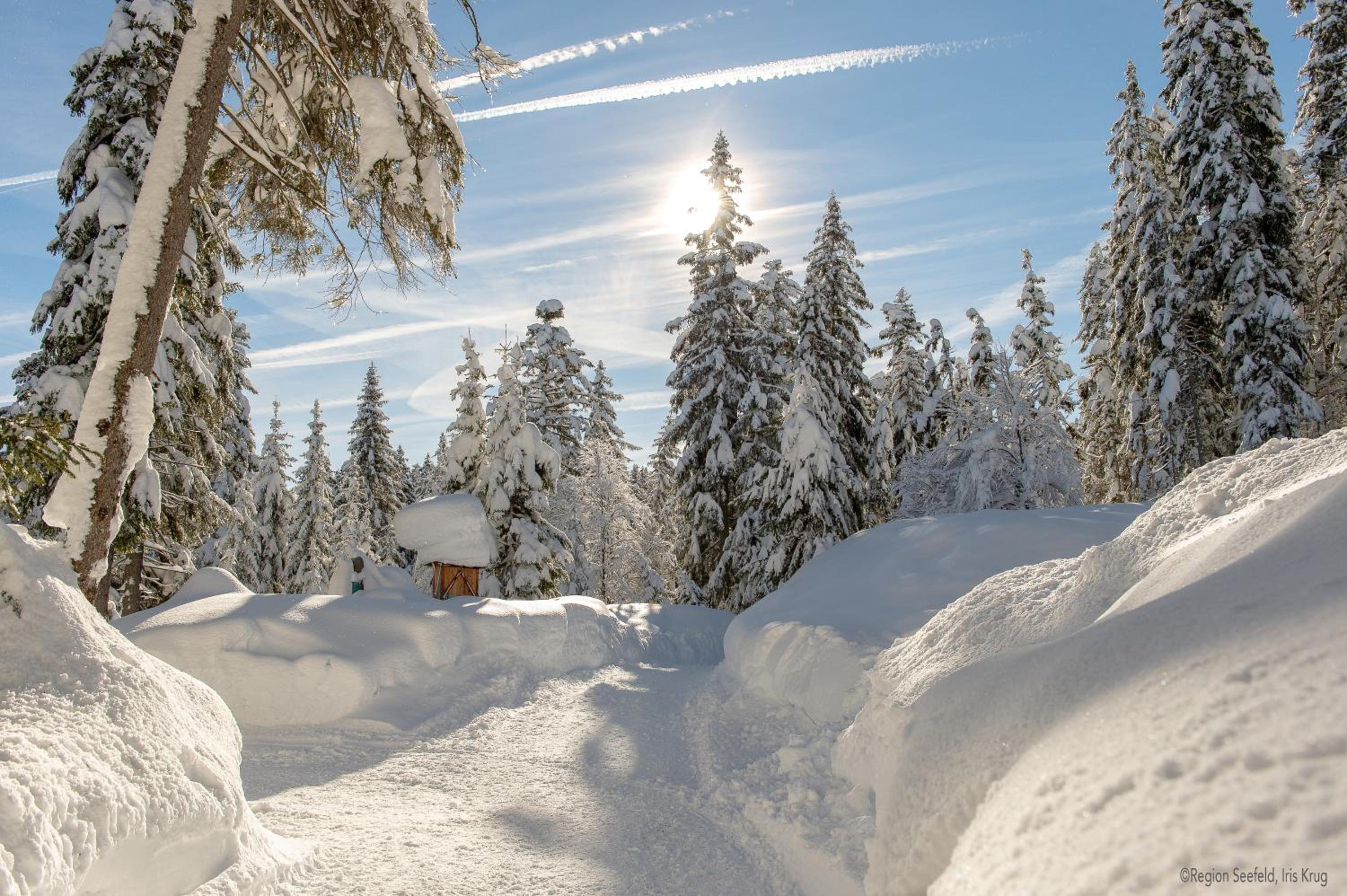 Sissi´s green Chalets
