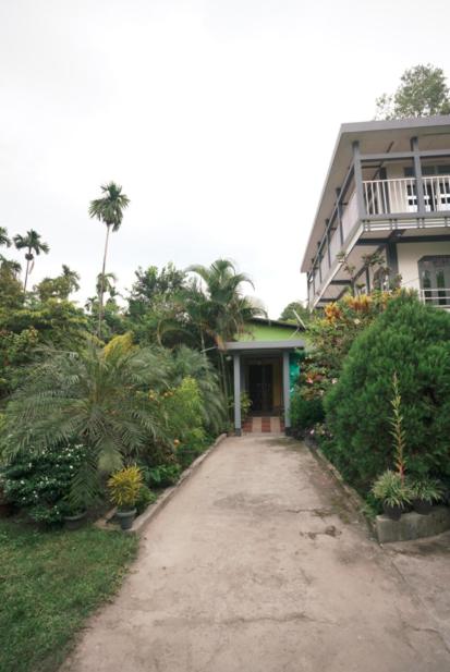 Asomi Green Village Rural Homestay view 3