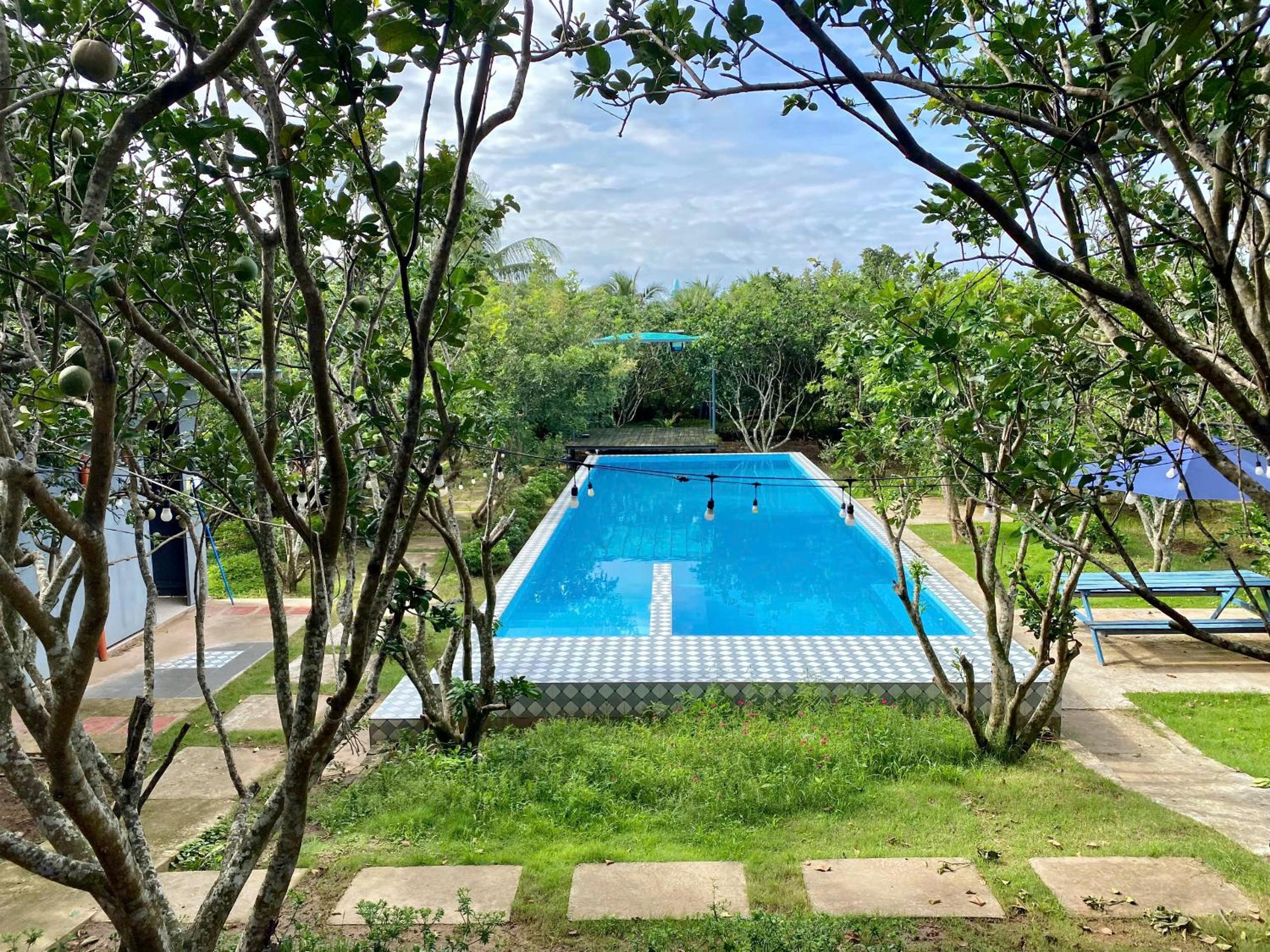 Cồn Phụng Retreats Mekong - Nature Island with Free Boat Shuttle & Fishing view 4