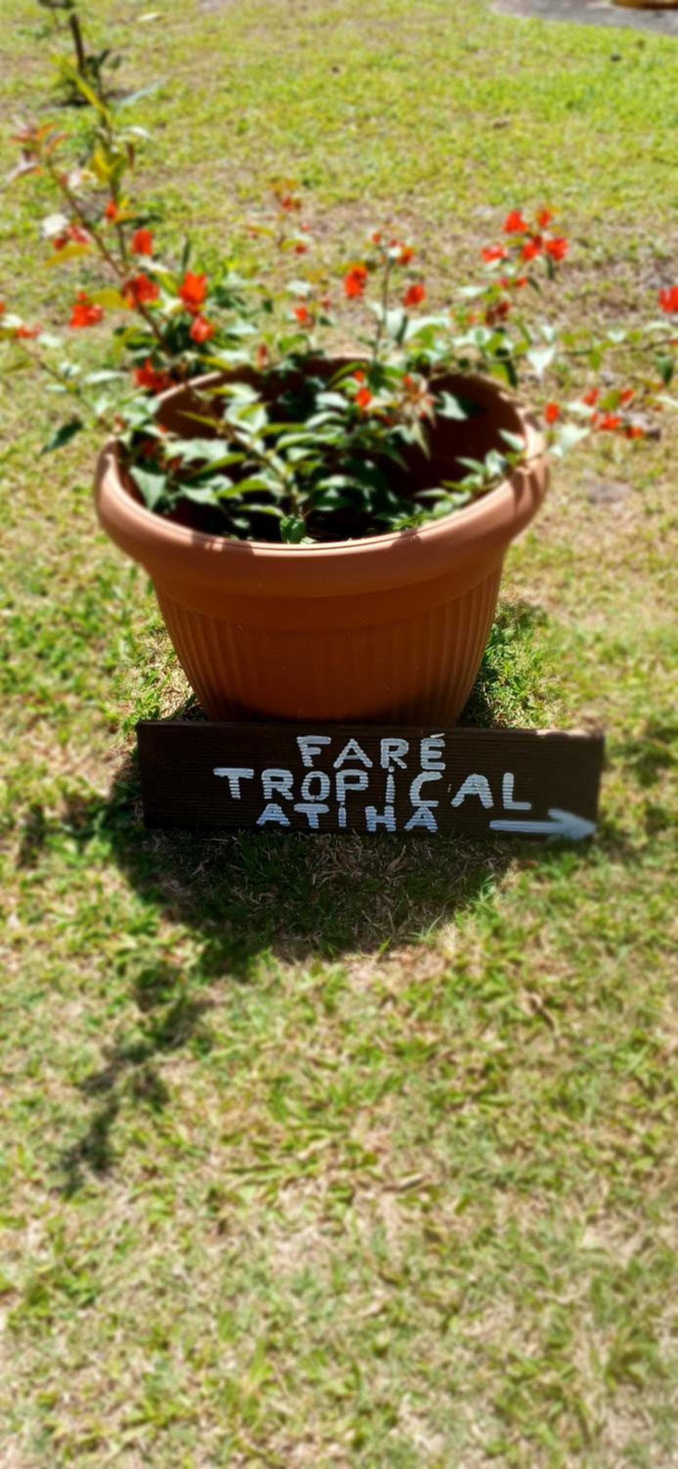 Faré Tropical Moorea- Jardin Tropical -Clim -Wi-Fi Gratuit view 2