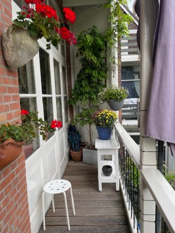 Mooi Appartement in Kralingen