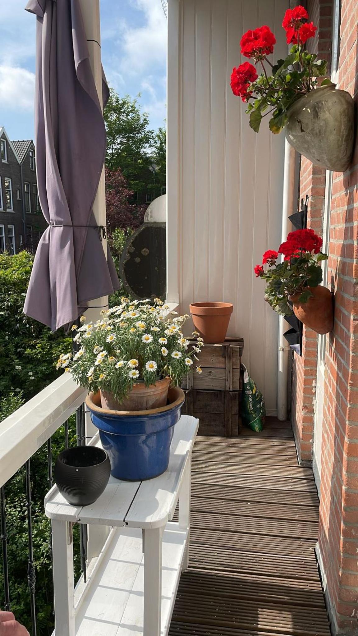 Mooi Appartement in Kralingen