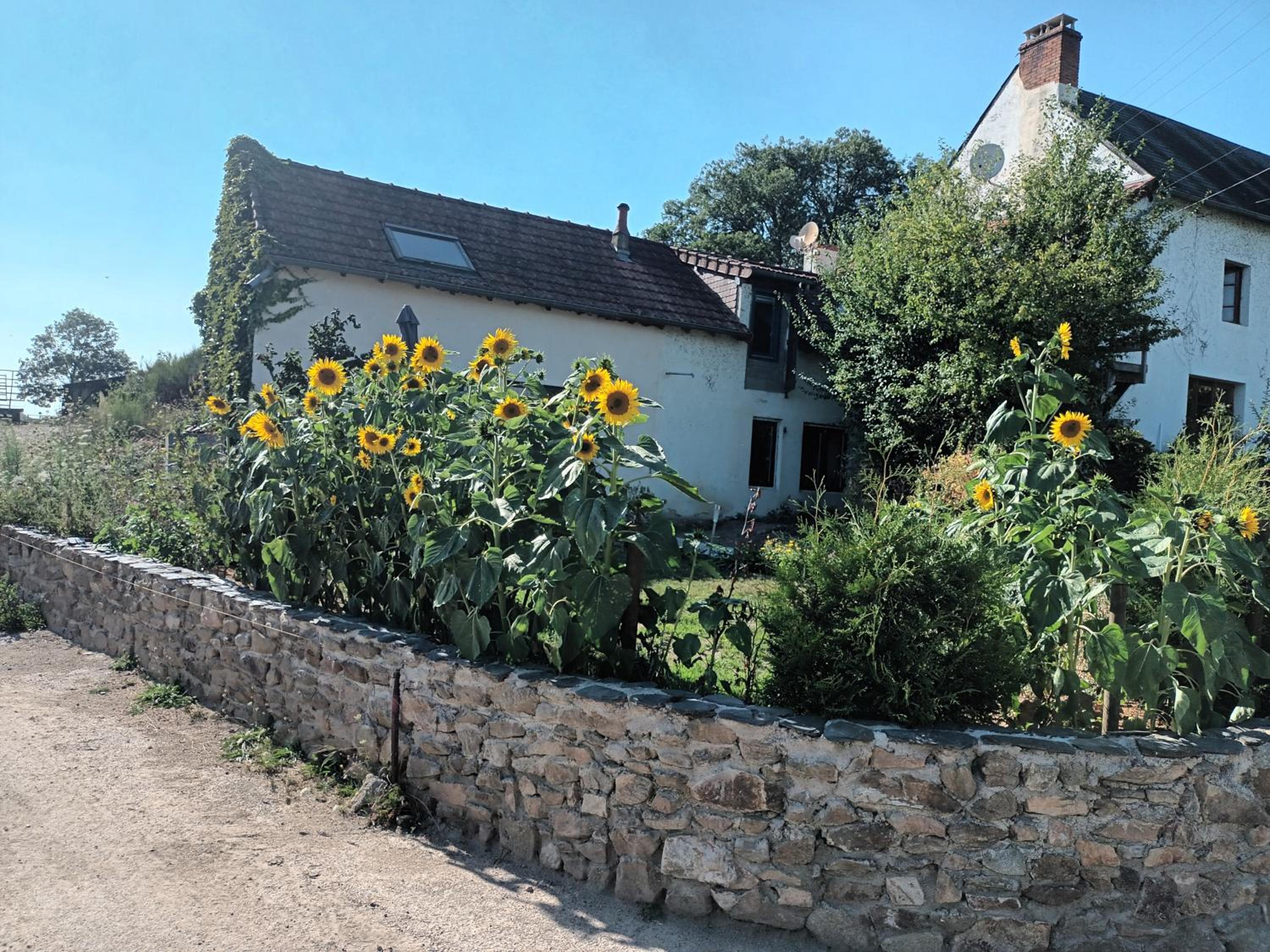 Gite Happy Sun Flower
