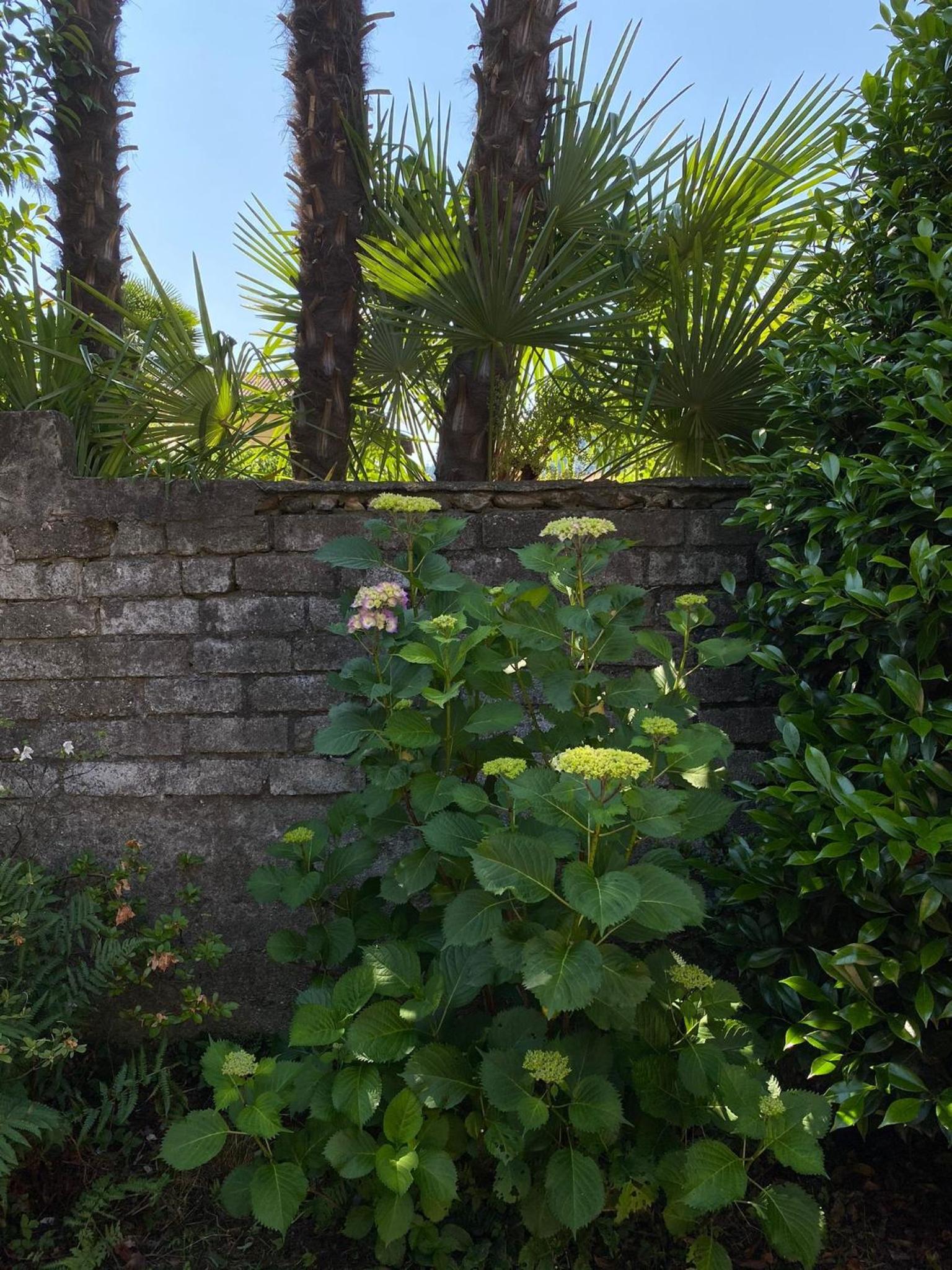 Casa Tranquilla