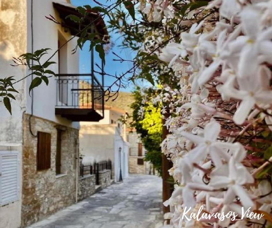 Kalavasos Retreat in traditional village of Cyprus