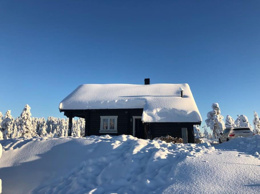 Delikat tømmerhytte på Blefjell