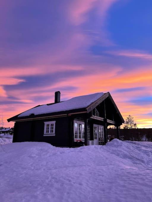 Delikat tømmerhytte på Blefjell