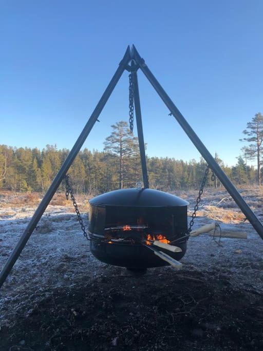 Delikat tømmerhytte på Blefjell