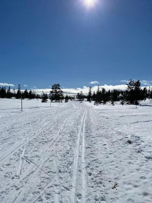 Delikat tømmerhytte på Blefjell