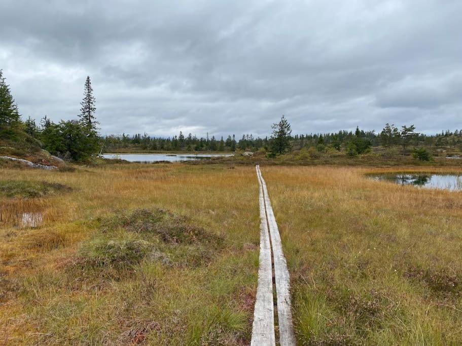Delikat tømmerhytte på Blefjell